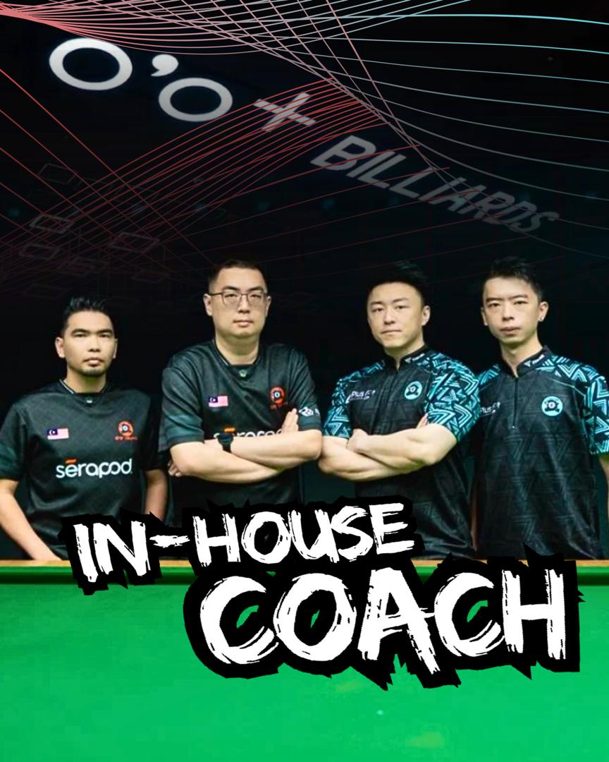 Professional Coaching Team
